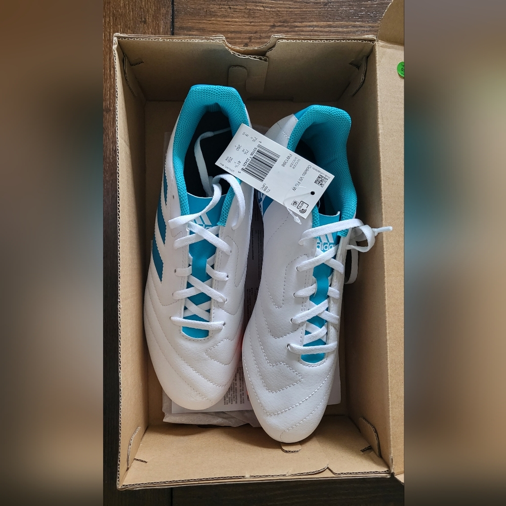 Adidas Men's White and Blue Shoes